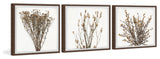 Brown Branches Triptych, 72"x24"