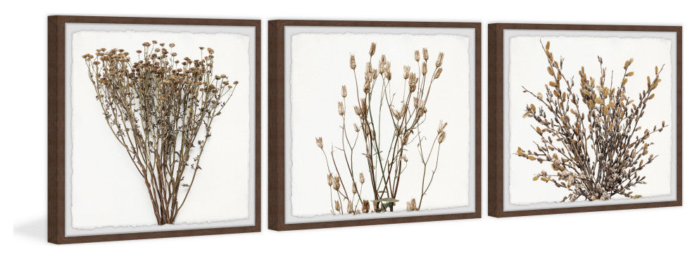 Brown Branches Triptych, 72"x24"