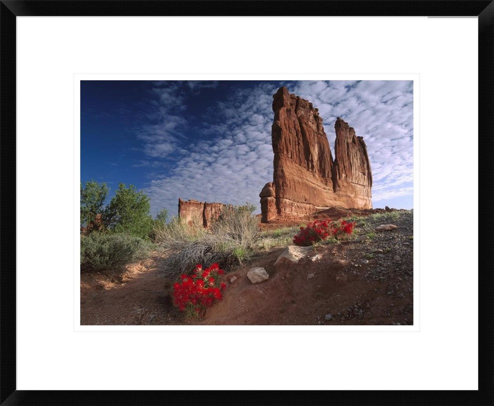 Paintbrush and The Organ Rock, Arches National Park, Utah, 22"x18"