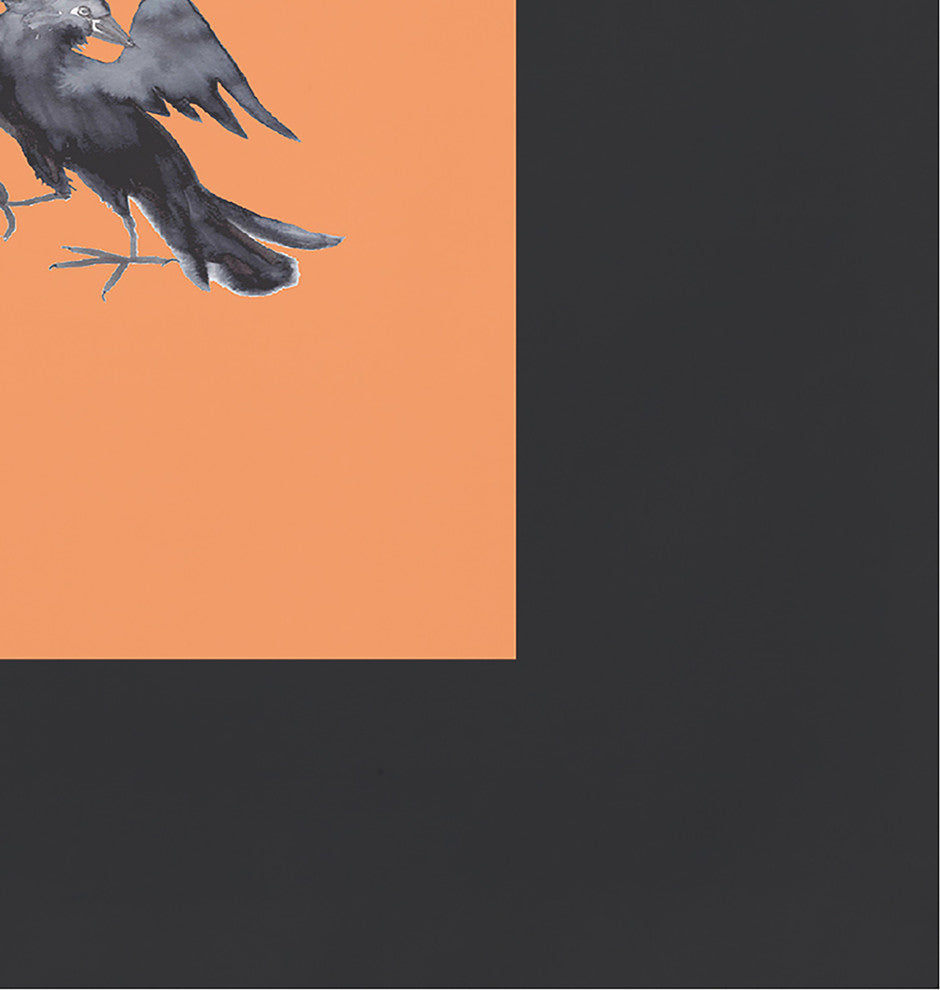 Fly Away Witch 18"x14" Orange Halloween Print Placemat, Set of 4