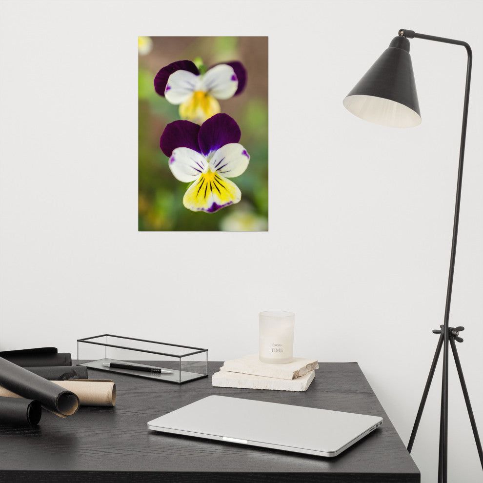 Pretty Little Violets Floral / Botanical Photograph Unframed Wall Art Prints, 12" X 18"