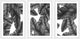 Bonita Springs Triptych, 36x18