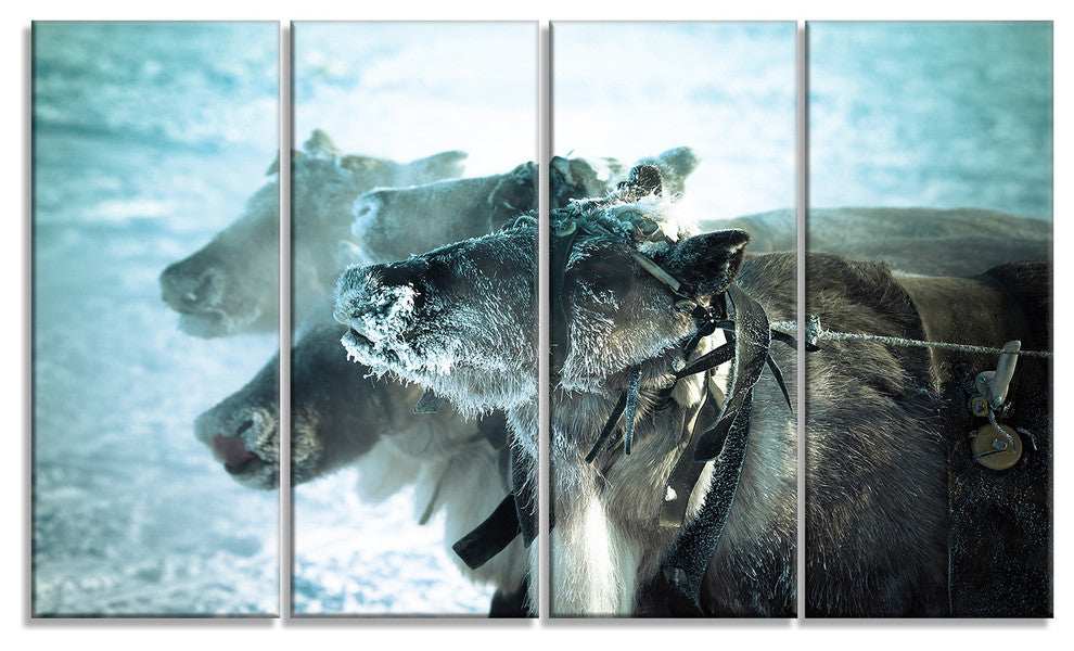 Muzzle Reindeer in Frost, Oversized Animal Wall Art, 48"x28", 4 Panels