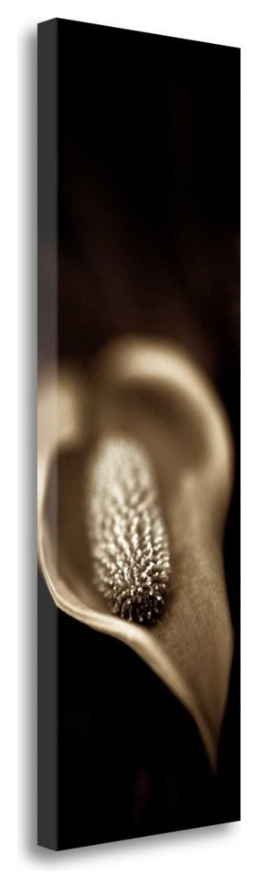 "Florison - 96" By Alan Blaustein, Giclee Print on Gallery Wrap Canvas