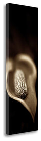 "Florison - 96" By Alan Blaustein, Giclee Print on Gallery Wrap Canvas