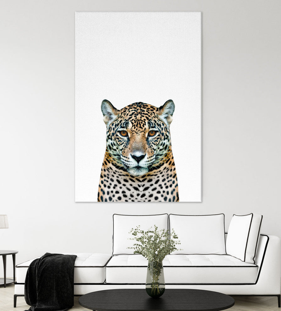 Leopard II - 72 x 48 by Tai Prints