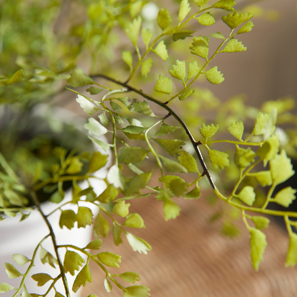 Maidenhair Drop-In 30"
