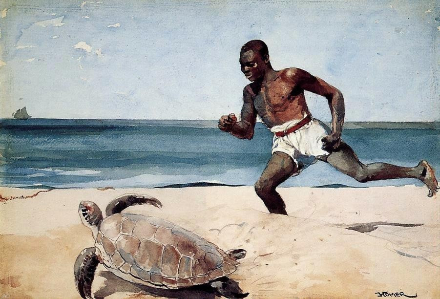 Winslow Homer Rum Cay, 18"x27" Gallery Wrapped Canvas Print