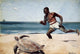 Winslow Homer Rum Cay, 18"x27" Gallery Wrapped Canvas Print