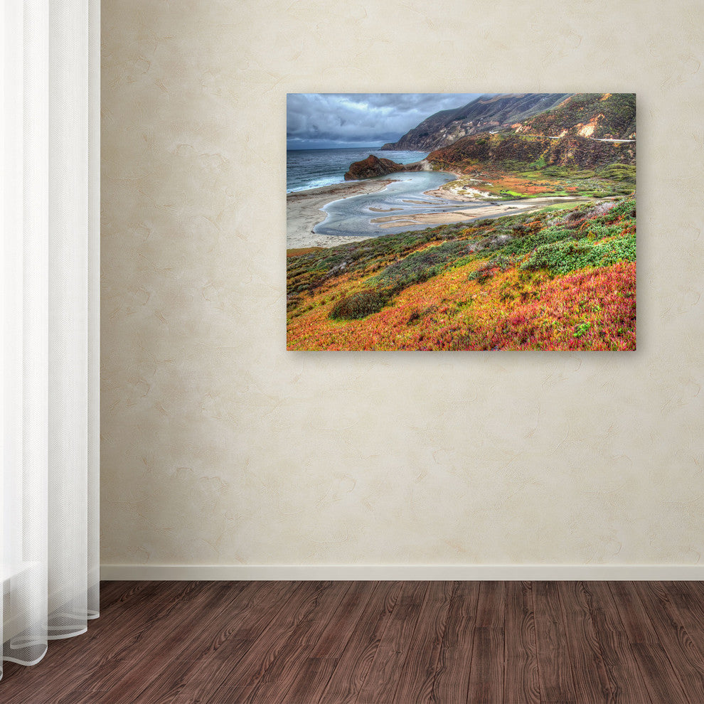 'Bigsur California' Canvas Art by Pierre Leclerc