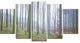 "Autumn Tree Trunks Panorama" Oversized Forest Canvas Artwork, 5 Panels, 60"x32"