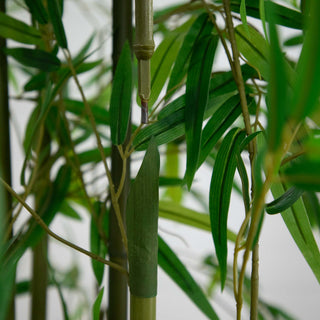Close-up crop of bamboo leaves and stem; not a full product image on white background.