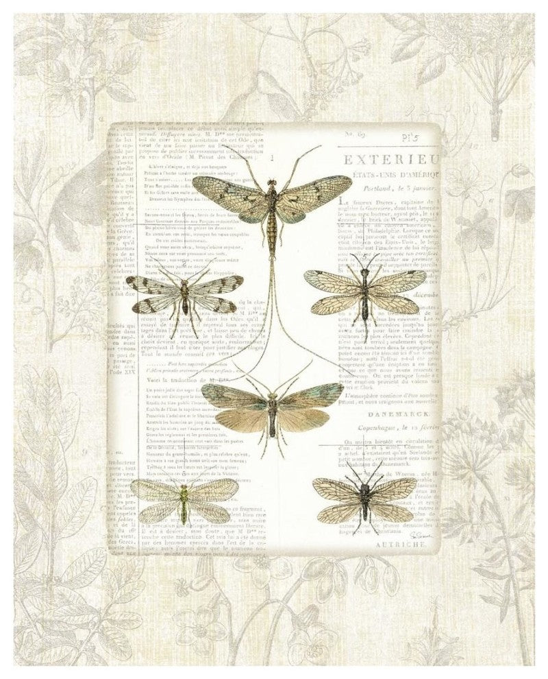 "Dragonfly Botanical" Digital Paper Print by Sue Schlabach, 18"x22"