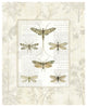 "Dragonfly Botanical" Digital Paper Print by Sue Schlabach, 18"x22"