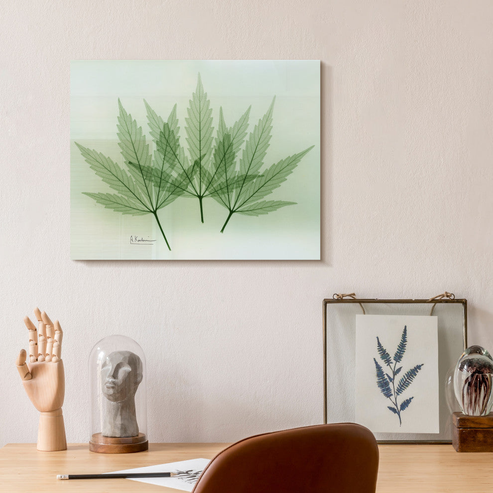 "Green Flower" Frameless Free Floating Panel Graphic Wall Art, 16"x20"