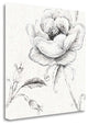 "Blossom Sketches II" By Daphne Brissonnet, Giclee Print on Gallery Wrap Canvas