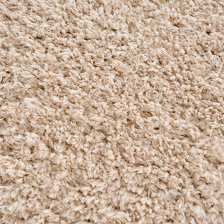 Gewnee Camdyn Super Soft Polyester Shag Area Rug, 5.25'x7'