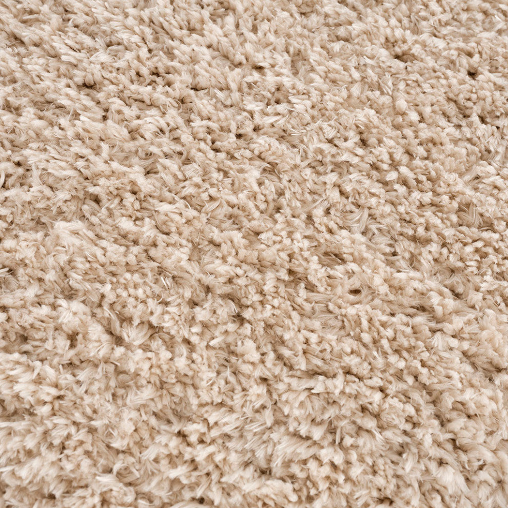 Gewnee Camdyn Super Soft Polyester Shag Area Rug, 5.25'x7'
