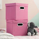 Storage Bins With Lids