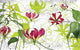 Gloriosa Mural 8-899 by Komar