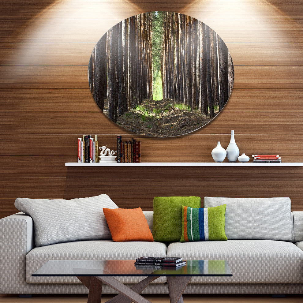 Even Rows Of Pine Tree Forest, Modern Forest Round Wall Art, 36"