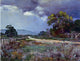 Julian Onderdonk Approaching Rain Southwest Texas Wall Decal