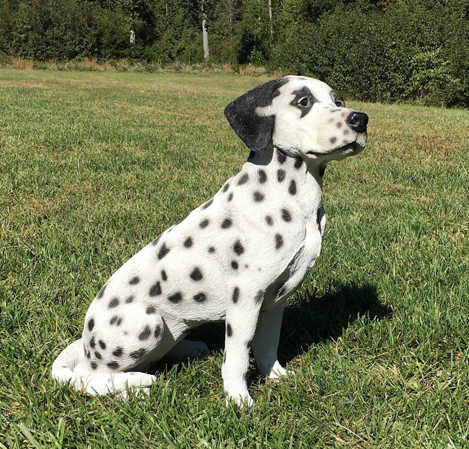 Realistic Dalmatian Dog Garden Statue, 20"