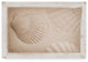"White Shells And Sand" by Cora Niele, Canvas Art, 30"x47"