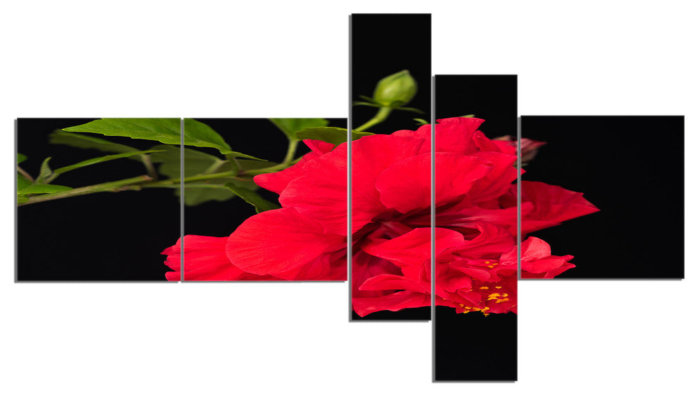 Bright Red Hibiscus on Black, Floral Canvas Art Print, 60"x32", 5 panels