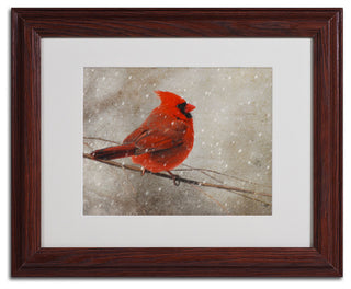 'Cardinal In Winter' Matted Framed Canvas Art by Lois Bryan