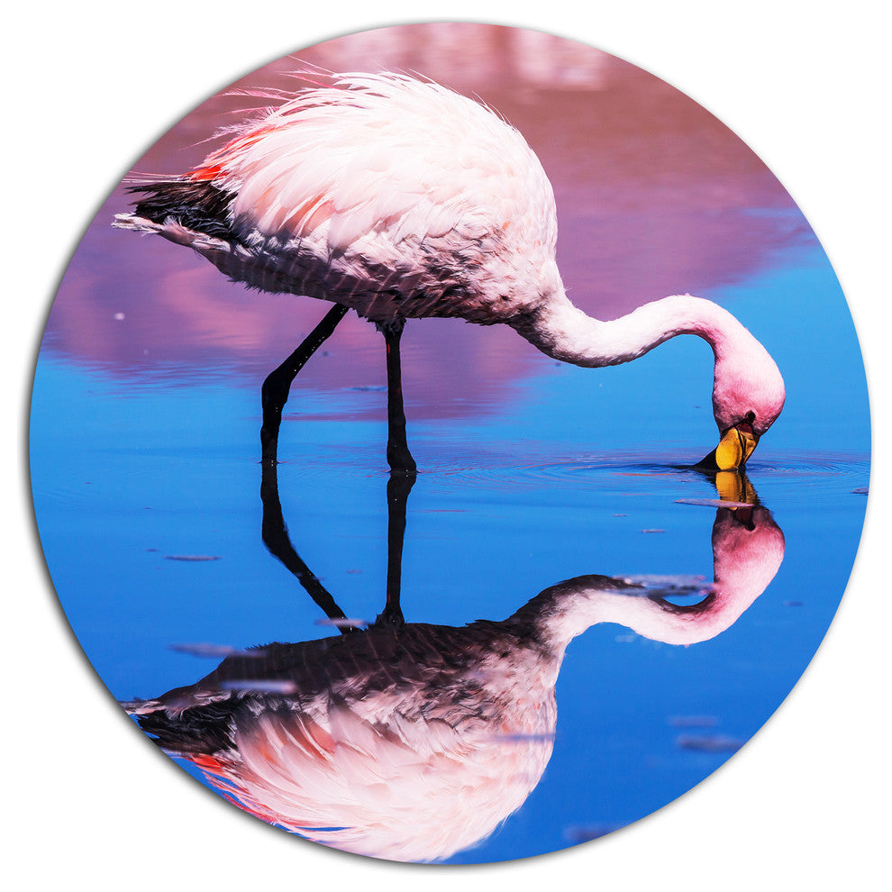 Beautiful Food Seeking Flamingo, African Large Disc Metal Wall Art, 11"