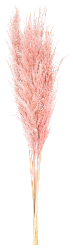 Vickerman 46" Dried Pampas Grass, Dusty Rose