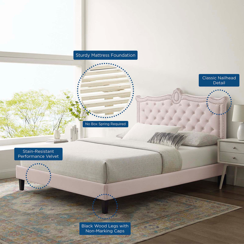 Platform Bed Frame, Nailhead, Queen Size, Pink, Velvet, Modern, Guest Suite