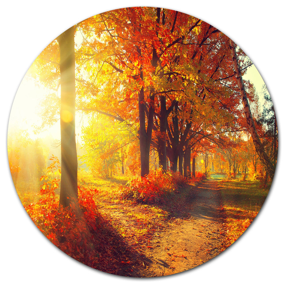 Autumnal Trees In Sunrays, Landscape Art Round Metal Wall Art, 11"
