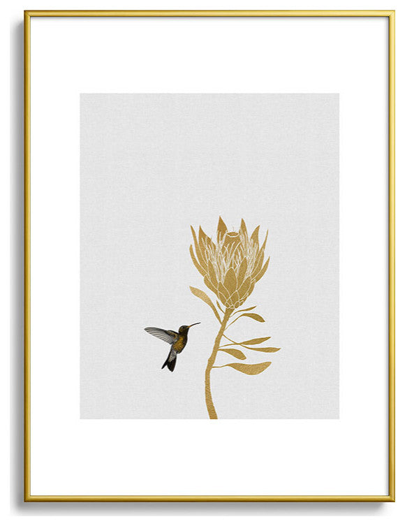 Orara Studio Hummingbird and Flower I Metal Framed Art Print