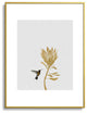 Orara Studio Hummingbird and Flower I Metal Framed Art Print