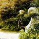 "From a Garden in Florence" Paper, 48"x24"
