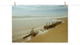 Misty Shipwreck on the Beach Landscape Photo Unframed Wall Art Print, 8" X 10"