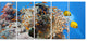 "Coral Scene" Panorama Canvas Photo Print, 5 Panels, 60"x28"