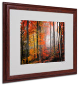 'Wildly Red' Matted Framed Canvas Art by Philippe Sainte-Laudy