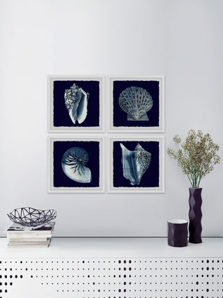 "All About Shells Quadriptych" Framed Painting Prints, 36"x36", 4-Piece Set