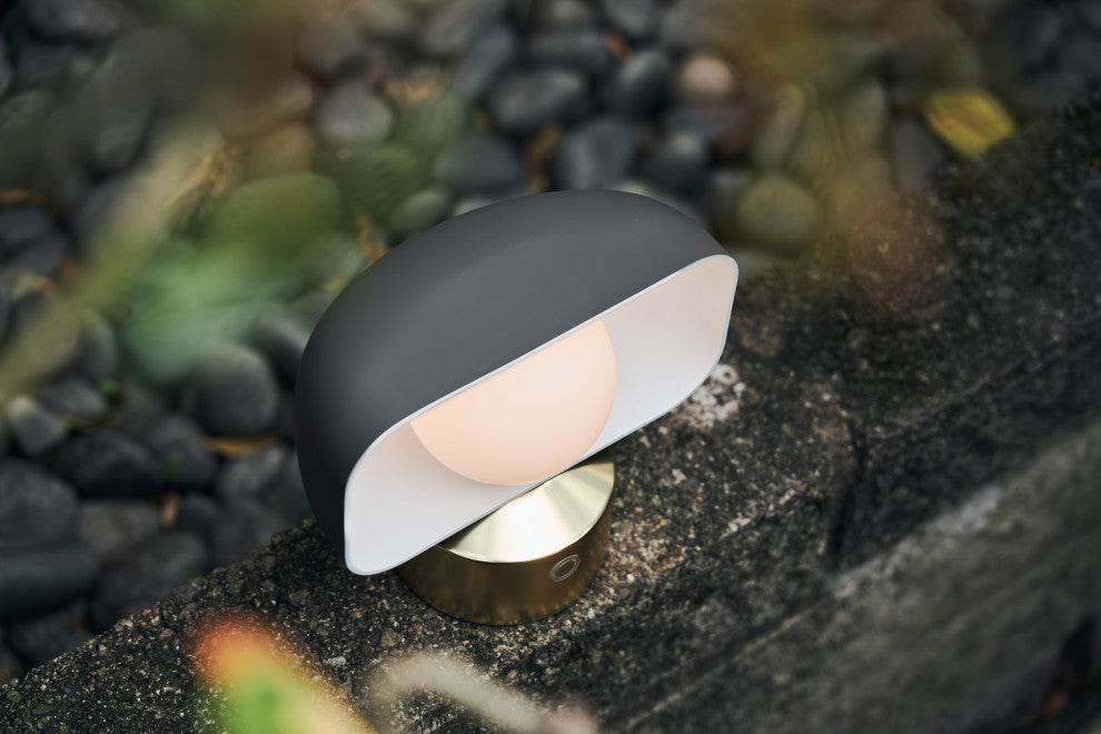 Hoodie Table / Wall Lamp, Matt Gray + Champagne Gold