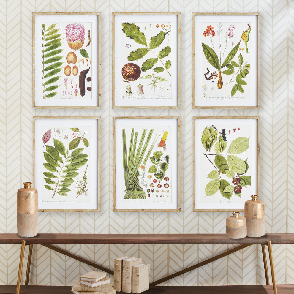 Leaf Botanical Study