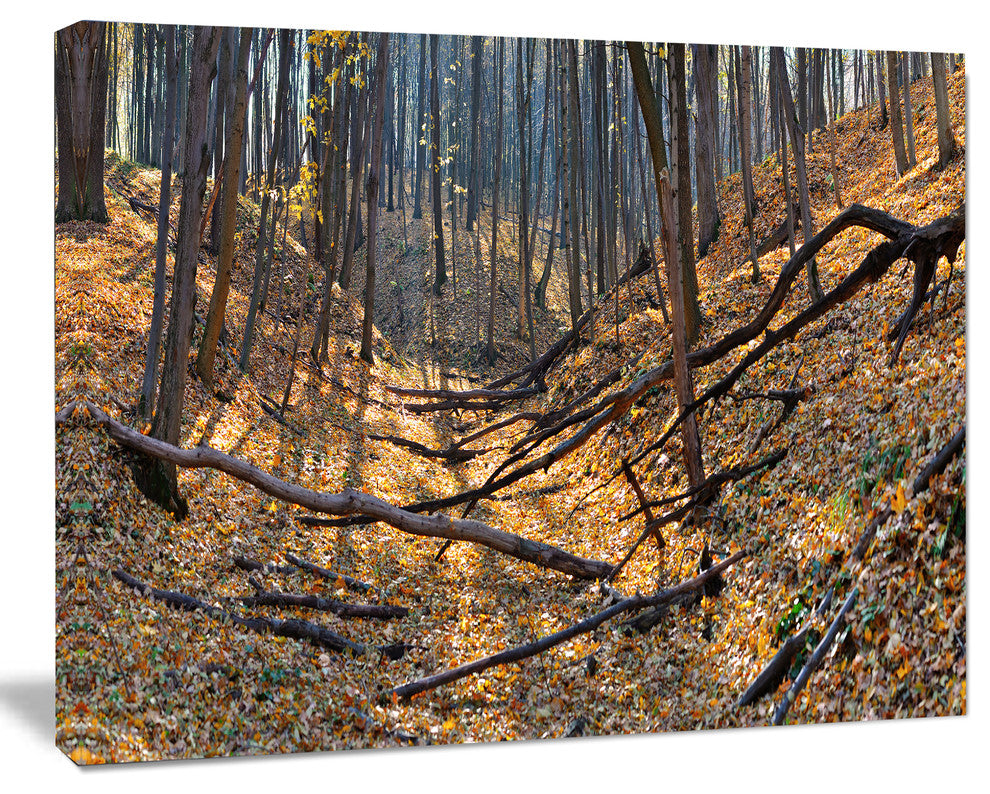 Thick Autumn Forest Panorama, Landscape Canvas Art Print, 40"x30"