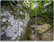 "Large Rocks in Deep Moss Forest" Metal Wall Art, 3 Panels, 36"x28"