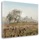 "Oak Tree - 68" By Alan Blaustein, Giclee Print on Gallery Wrap Canvas