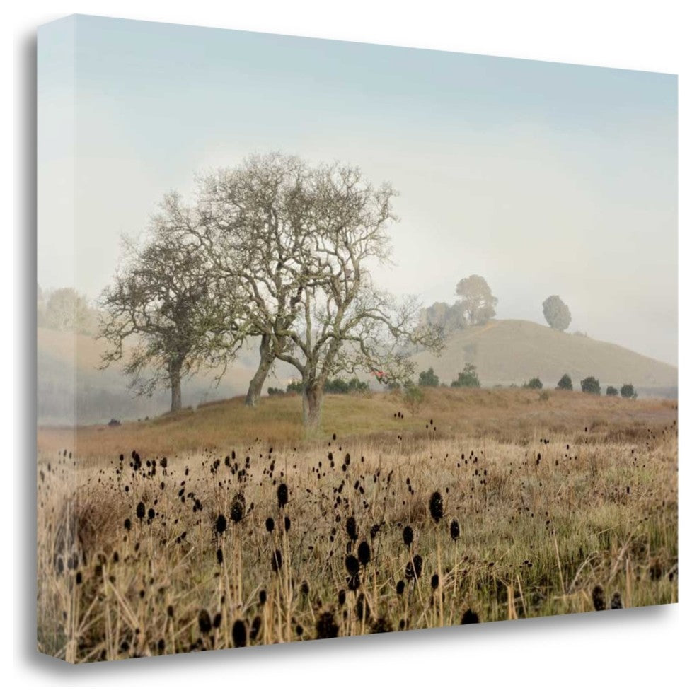 "Oak Tree - 68" By Alan Blaustein, Giclee Print on Gallery Wrap Canvas