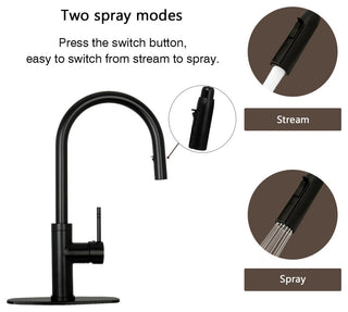 Akicon™ Copper Pull Out Kitchen Faucet With Deck Plate, Single Level Solid Brass, Matte Black