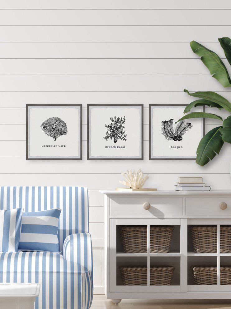 Sea Pen Triptych, 3-Piece Set, 12x12 Panels