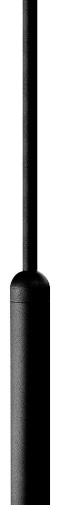 1 Light Glass Globe Pendant Light, Black